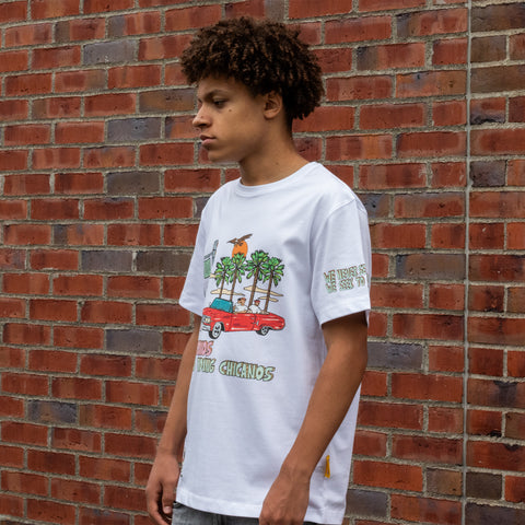 Unisex Heavy Cotton Streetwear Tee - White - Classic Fit - Graphic Design. Americanos T-shirts